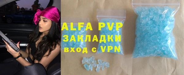 шишки Белоозёрский
