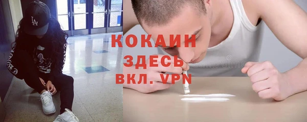 шишки Белоозёрский