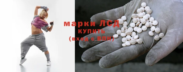 шишки Белоозёрский