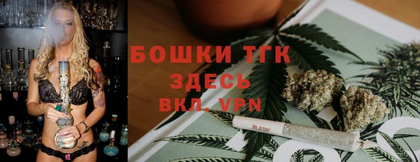 шишки Белоозёрский